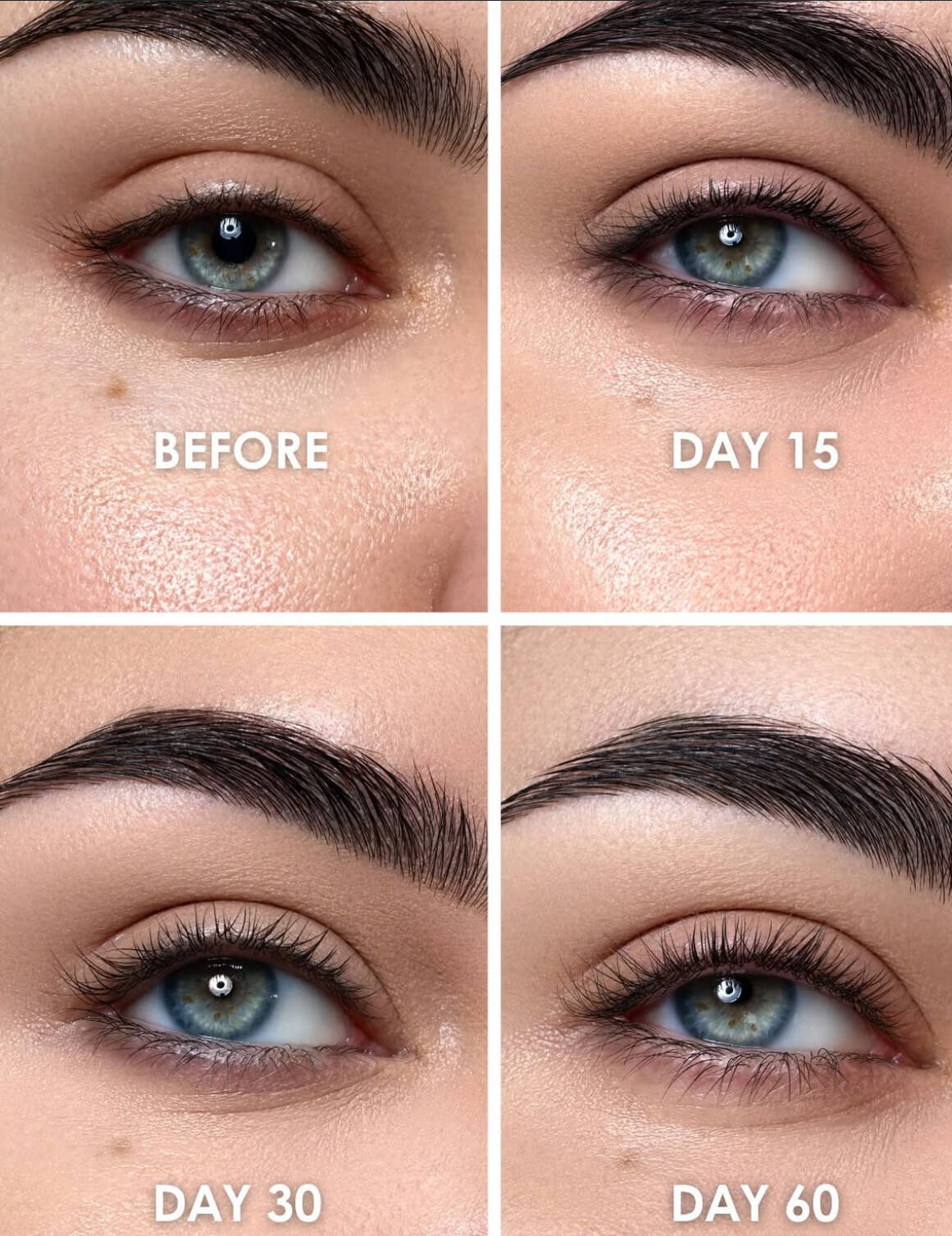 4D PRO Lash & Brow Serum RVB Lab The Make Up - Intercosmetics