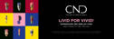 Low quality preview for vivid shellac banner